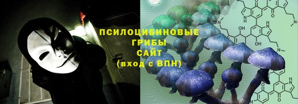 MESCALINE Надым