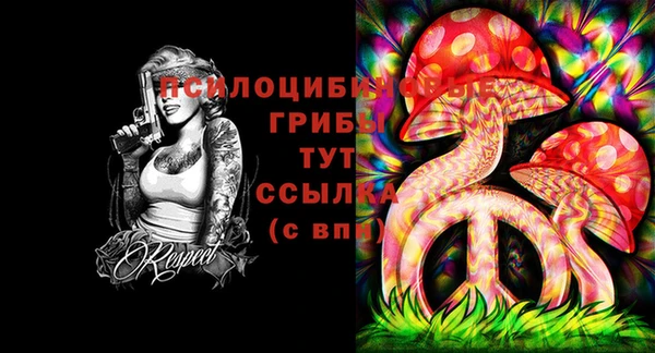 MESCALINE Надым