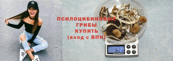 MESCALINE Надым