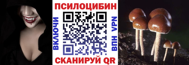Купить где  Добрянка  Галлюциногенные грибы Cubensis 